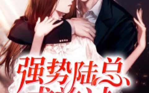 陆先生,陆清城小说全文免费阅读，《强势陆总求放过》小说最新章节