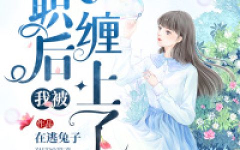 小说宋襄,严厉寒《离职后我被前上司缠上了》在线全文免费阅读