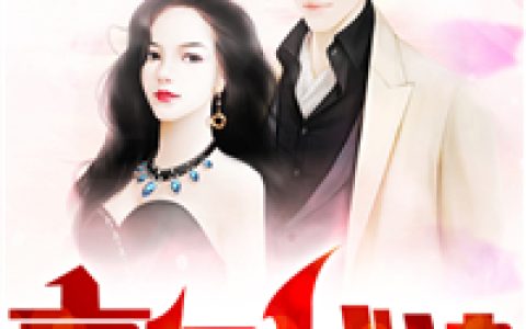 豪门战狼秦风，白飞，豪门战狼小说免费阅读