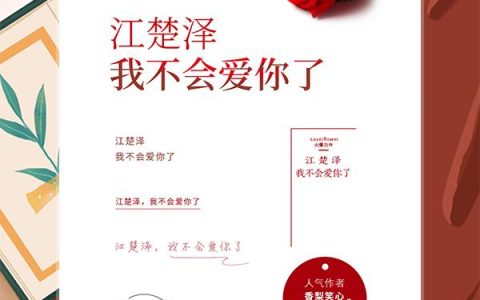 《江楚泽，我不会爱你了》小说最新章节，江楚泽,苏沐楠全文免费在线阅读
