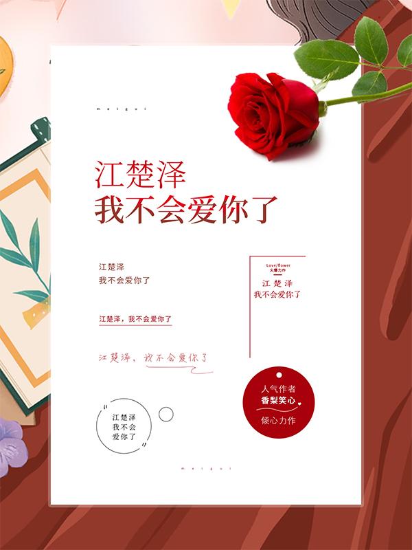 江楚泽,我不会爱你了