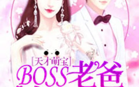 《天才萌宝：BOSS老爸请接招》靳羽婕齐天啟小说免费阅读全文
