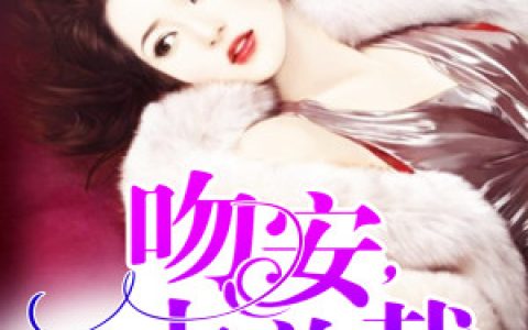 《吻安，大总裁》小说最新章节免费阅读，林浅,小乖全文免费阅读