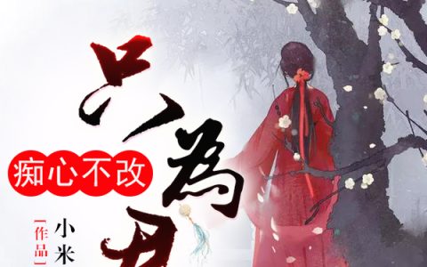 苏汐，殷墨小说全文免费阅读，《痴心不改只为君》小说最新章节