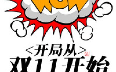 洛杨,赵辉小说免费阅读全文，《开局从双11开始》最新章节免费阅读