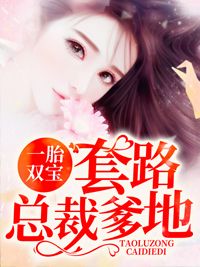 一胎双宝:套路总裁爹地