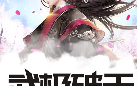 武极破天（叶寒林弦）小说在哪里可以看