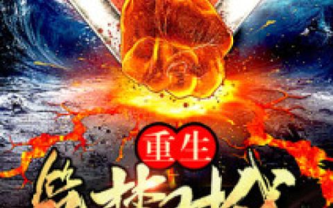 叶辰,王姨小说免费阅读全文，《重生筑梦时代》最新章节免费阅读
