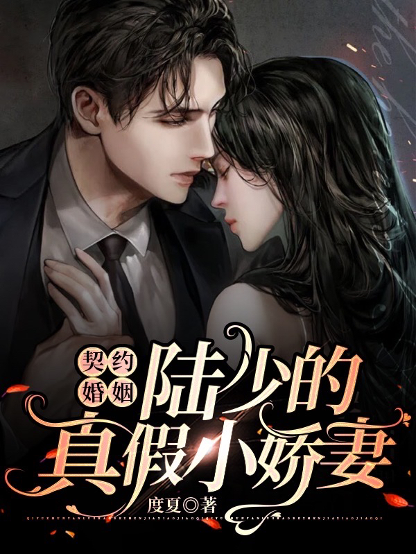 契约婚姻:陆少的真假小娇妻