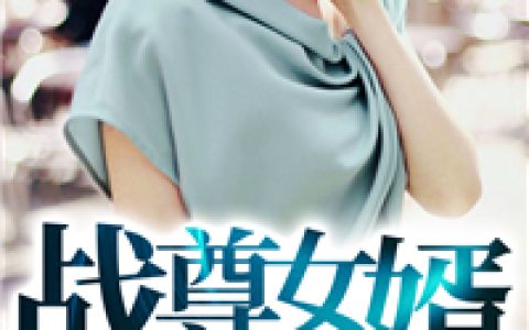 小说沈明，朱阮天《战尊女婿》在线全文免费阅读