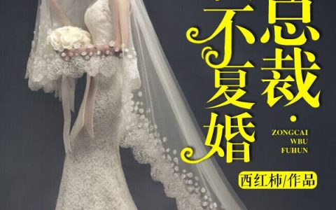 总裁，我不复婚（许如清,任凯尧）小说在哪里可以看