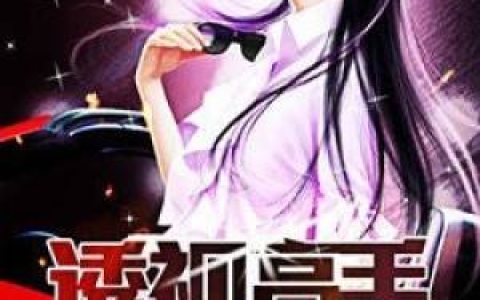 《透视高手》,小说免费阅读
