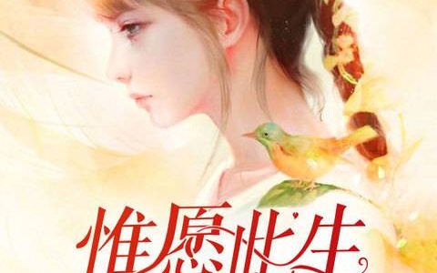 小说陆曦曦,辛愿《惟愿此生两相忘》在线全文免费阅读