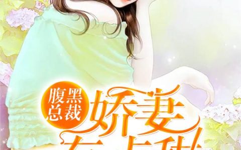 小说小环,柳姨娘《一代医后》在线全文免费阅读