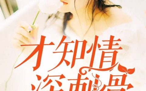 神医高手最新章节，柳潇潇,宁飞扬全文免费阅读