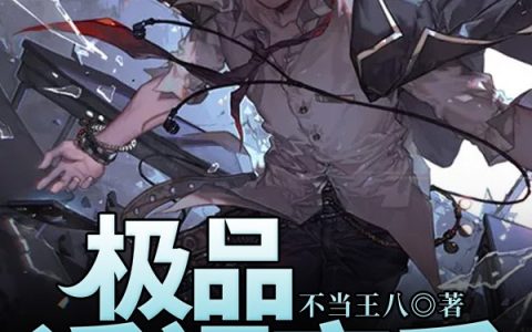 林耀小宝小说《极品透视高手》全文免费阅读