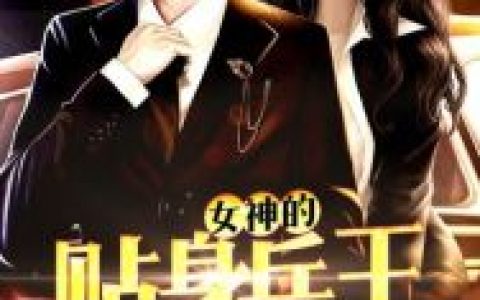 女神的贴身兵王（王陆肖雅儒）小说在哪里可以看