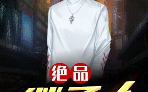《绝品继承人》火熄余灰小说免费阅读全文，陈进,顾泽安小说最新章节