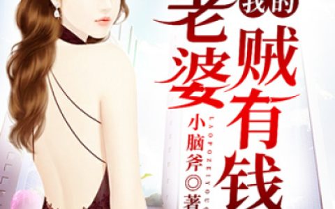《我的老婆贼有钱》小脑斧小说免费阅读全文，陈锦霖,陈志昌小说最新章节