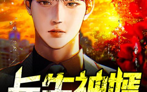 《长生神婿》吴粮小说免费阅读全文，慕容海,林曼羽小说最新章节