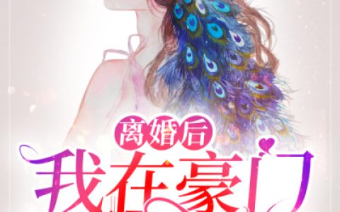 《离婚后我在豪门乘风破浪》张家三姐小说免费阅读全文，辛浩然,伊凡小说最新章节