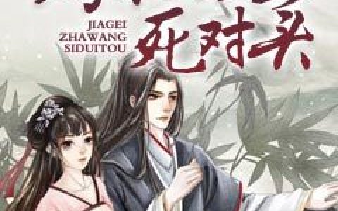 王妃凉凉《嫁给渣王死对头》颜无双,洛氏小说免费阅读