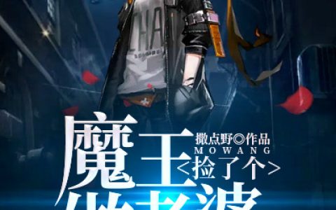 《捡了个魔王做老婆》叶凡天九幽小说_叶凡天九幽全文免费阅读