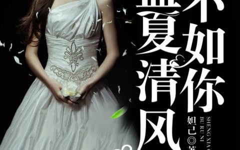 小说李光柳如意《盛夏清风不如你》在线全文免费阅读