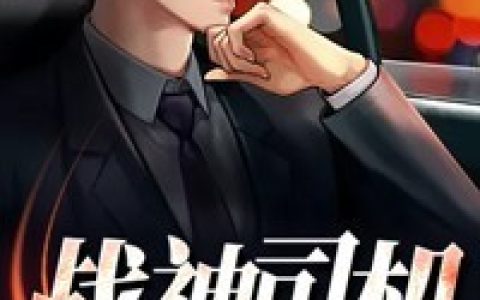 《战神司机》小说最新章节，凌杰阿凌杰全文免费在线阅读