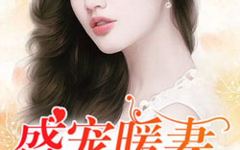 唐西雅李娴静小说《盛宠暖妻》全文免费阅读