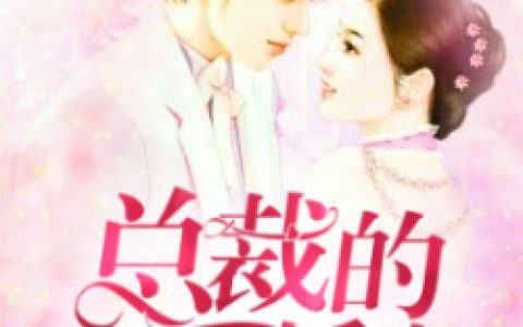 小说《总裁的双面娇妻》林峰李红杏完整版免费阅读