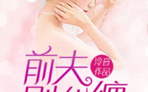 《前夫，别纠缠》陆靳安纪暖小说免费阅读全文