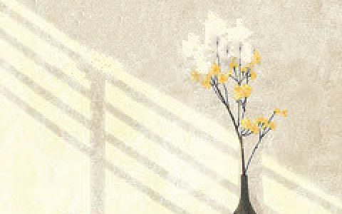 《心守一抹暖阳》小说最新章节，陆逸珩,秦若雪全文免费在线阅读