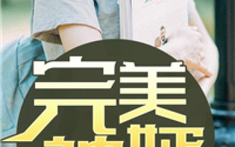 苏寒雪，秦阳小说全文免费阅读，《完美神婿》小说最新章节