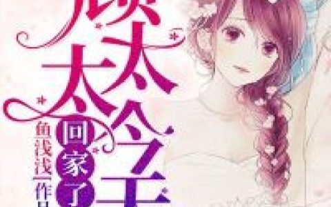 慕兮,夏乐乐小说免费阅读全文，《顾太太今天回家了吗》最新章节免费阅读