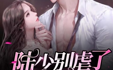 樱玺《陆少别虐了，你只是替身》小说免费阅读