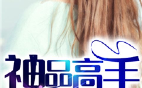 小说宋霄凡，周庆功《神品高手》在线全文免费阅读