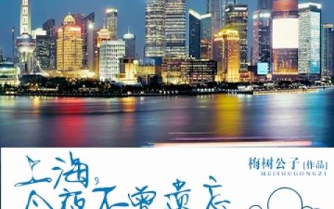 上海，今夜不曾遗忘(苏紫,戚妙)小说全文免费阅读