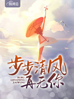 步步清风再无你