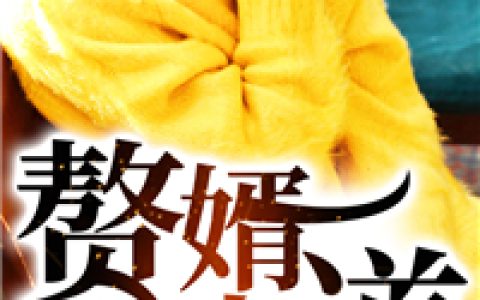 作者齐悦_作者齐悦小说《赘婿当道》最新章节_全文免费阅读