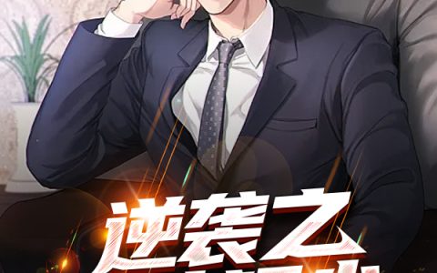 (逆袭之通天官道)叶平宇小说_叶平宇常芳全文免费阅读(无广告)