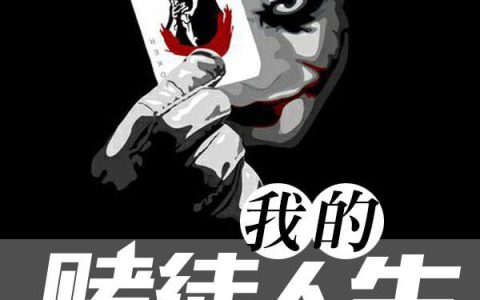 我的赌徒人生(张峰,林颖)小说全文免费阅读