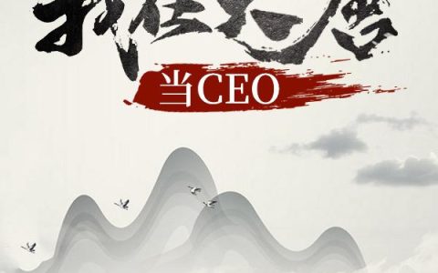 叶秋,张伯小说全文免费阅读，《我在大唐当CEO》最新章节