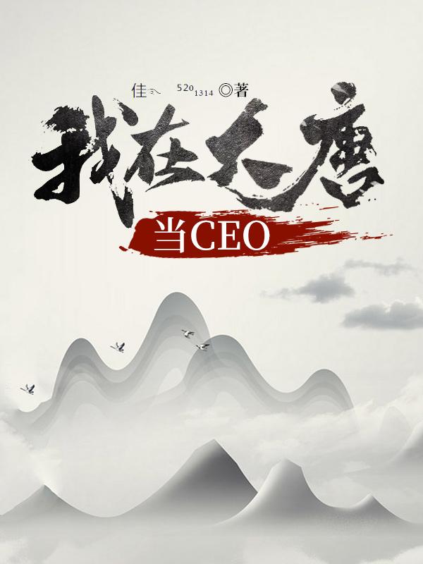 我在大唐当CEO