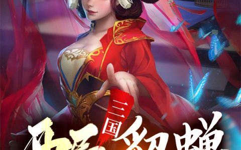 小说《三国：开局貂蝉托付于我》苏辰,王湛完整版免费阅读