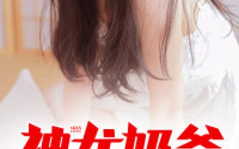 神龙奶爸（秦川,楚雨荨）小说在哪里可以看