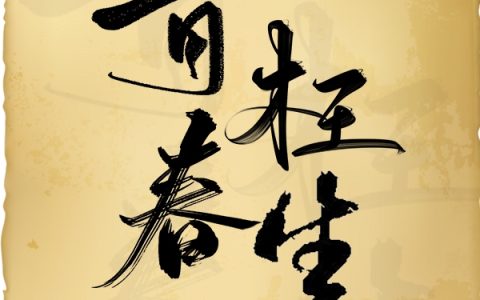 憬淮,婉晨小说《青春枉生》全文免费阅读