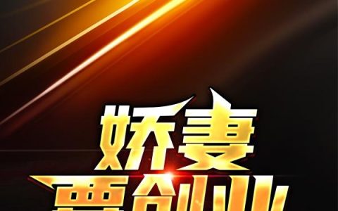 王娜,陈杰小说《娇妻要创业：别闹》全文免费阅读