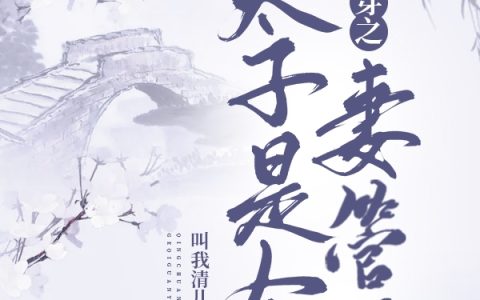 小说《清穿之太子是个妻管严》胤礽,胤禛完整版免费阅读