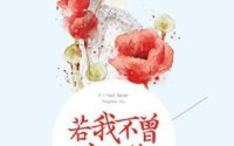叶晴,叶知秋《若我不曾忘记你》小说全文免费阅读